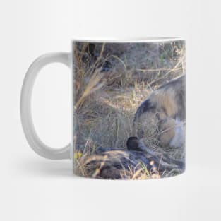 Wild dog sitting with its pack Mug